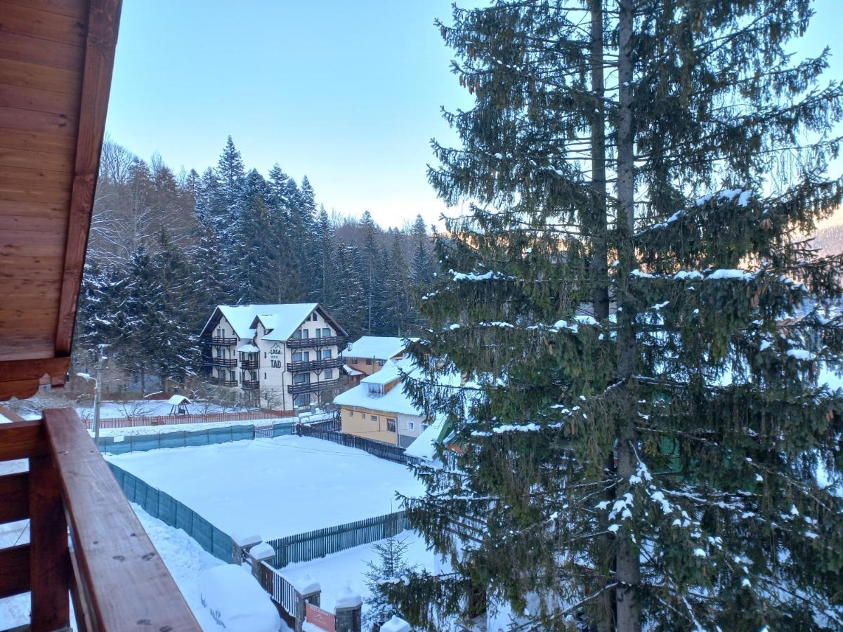 Kalinderu Luxury Ski Loft 부스테니 외부 사진