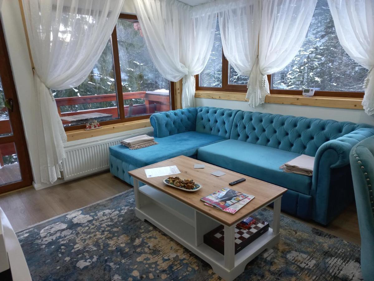 Kalinderu Luxury Ski Loft 부스테니 외부 사진