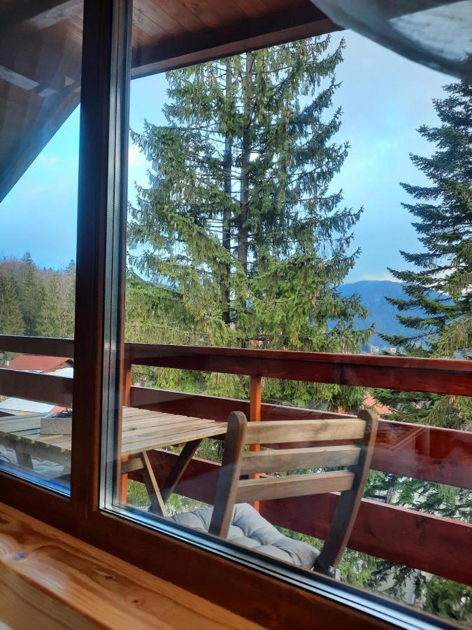 Kalinderu Luxury Ski Loft 부스테니 외부 사진